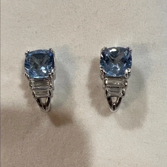 Elegant Sterling Silver and Blue Earrings - Picture 1 of 5